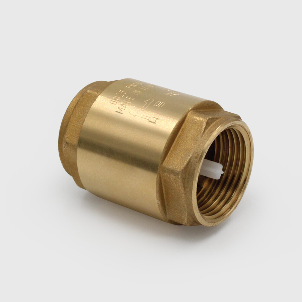 Profec Non return valve brass 3" female thread 8bar type 5