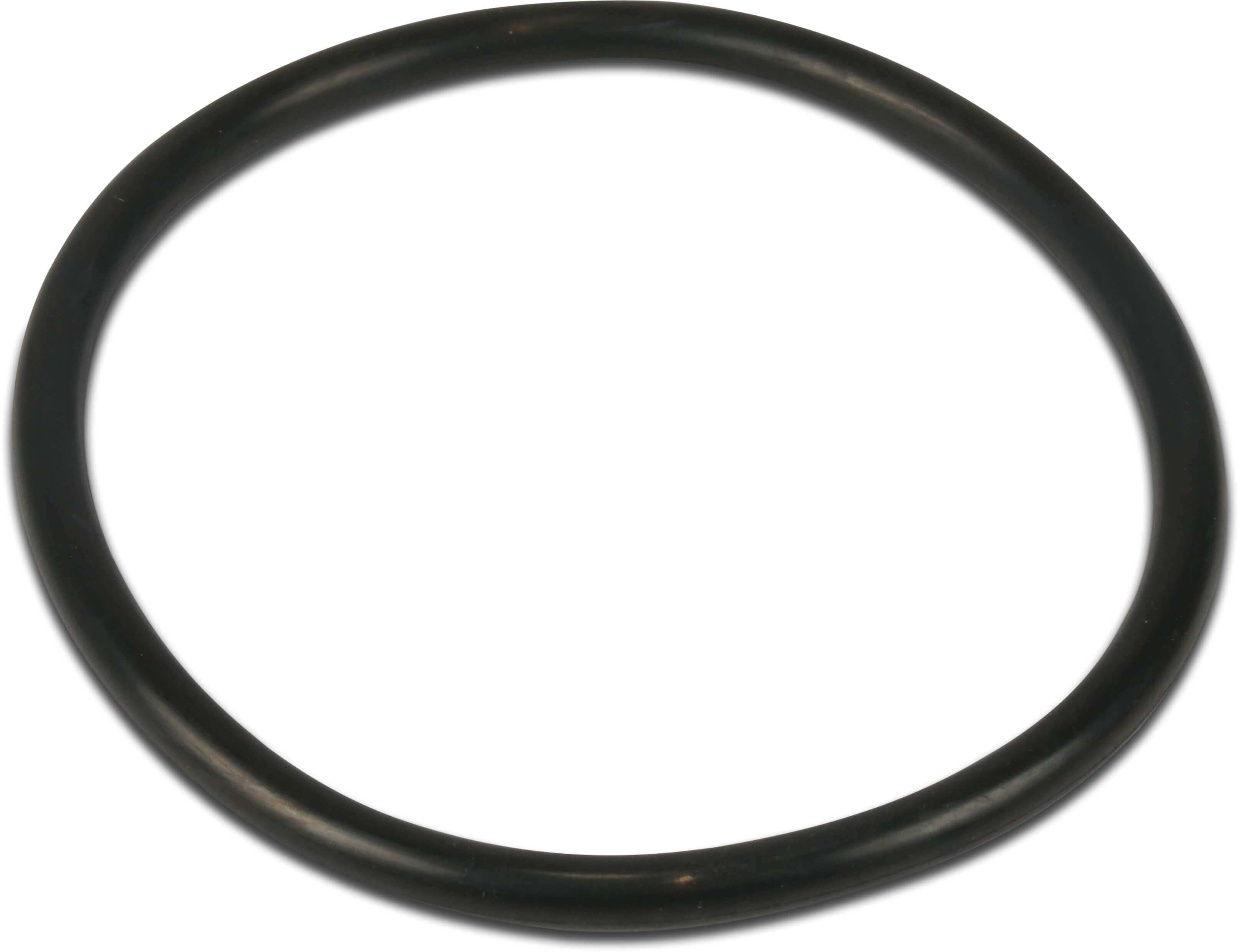 Sta-Rite O-ring til tætningsplade SuperFlo/Supermax R355619