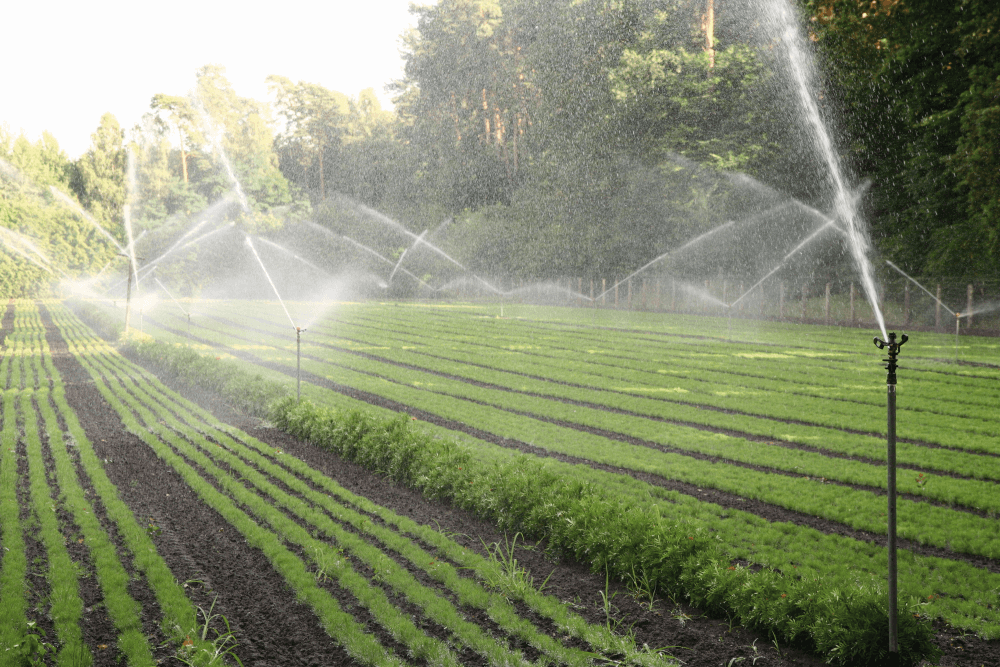 Anbauplan zur Bewässerung
