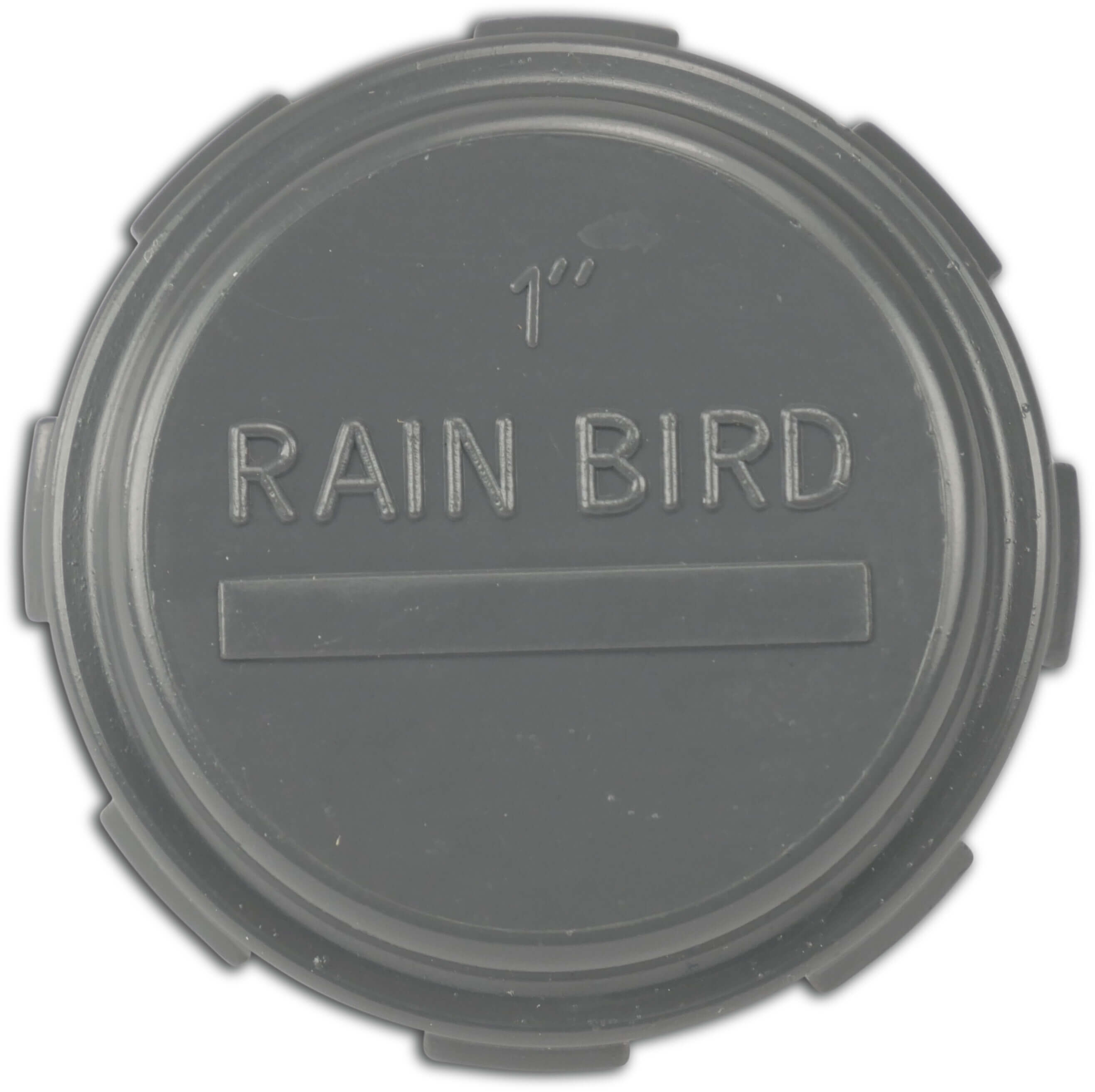 Rain Bird Kappe PVC Innengewinde 10bar Grau S1