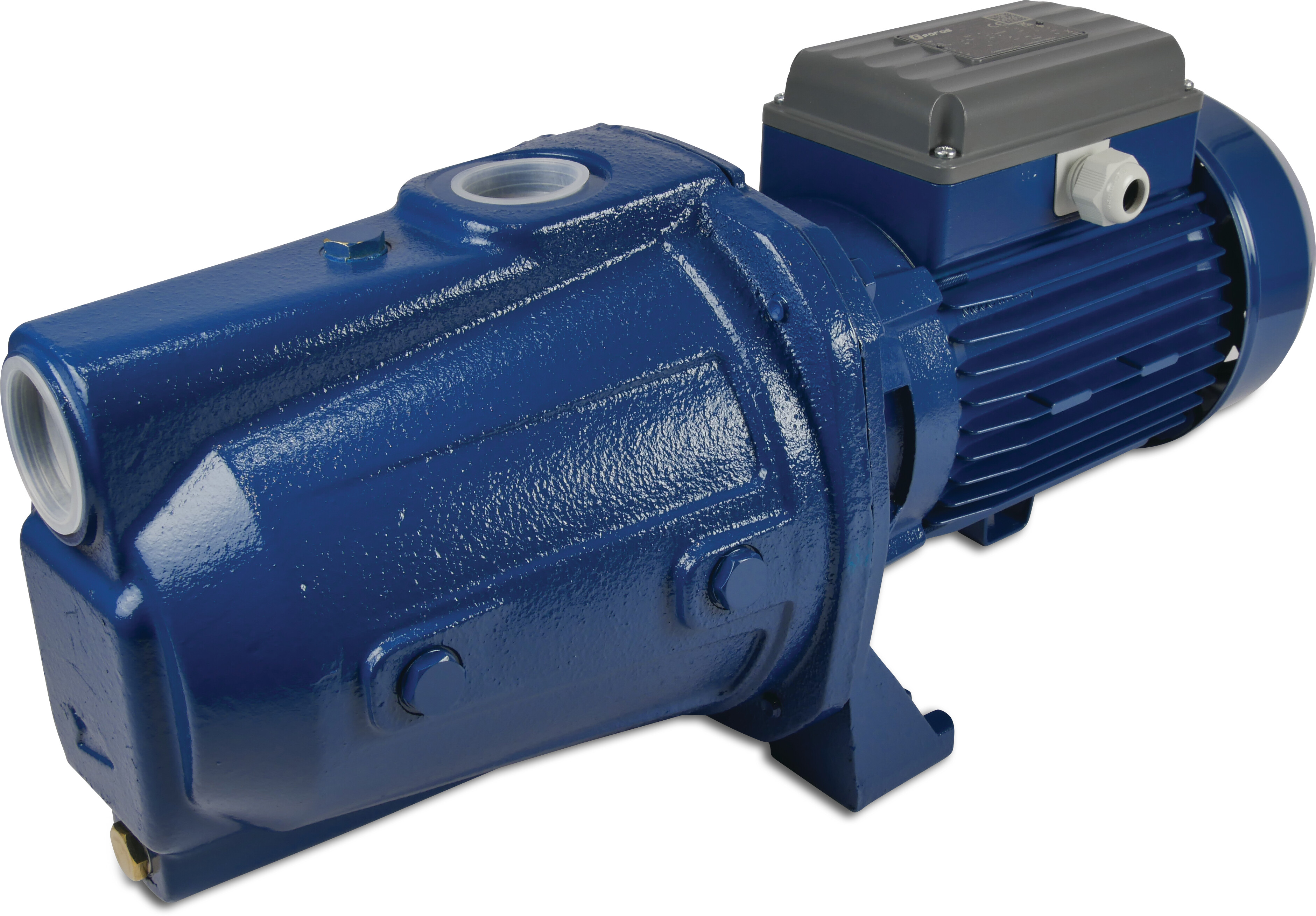 Foras Kreiselpumpe Gusseisen 1 1/2" x 1 1/4" Innengewinde 8bar 8,2A 230VAC Blau selbstansaugend Typ JAM 150