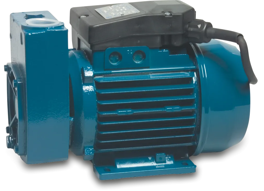 Other pumps