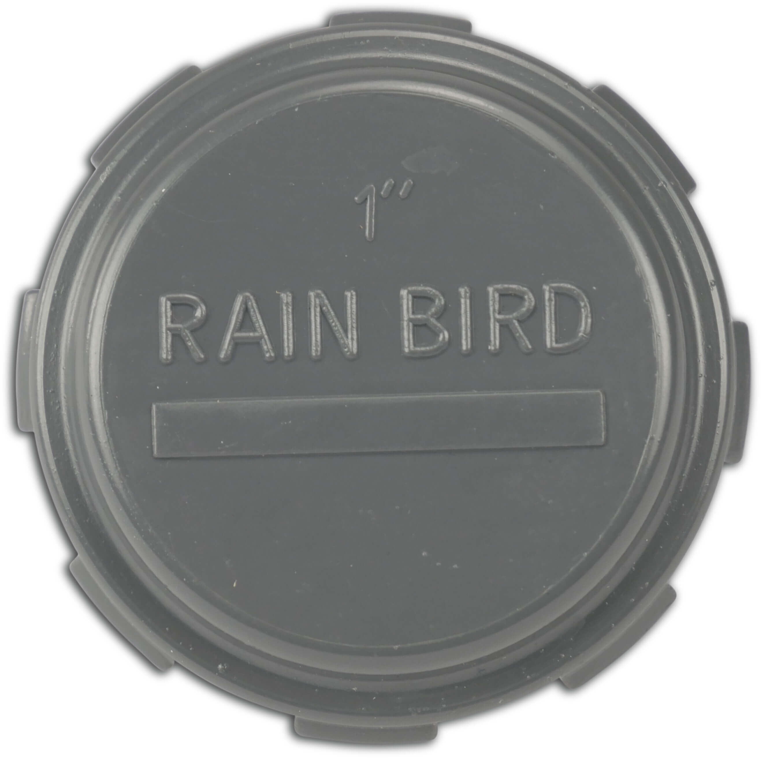 Rain Bird Cap PVC 1" female thread 10bar grey