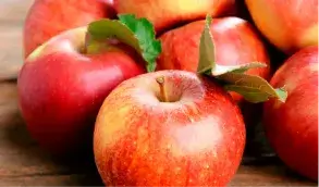 Æbler