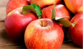 Nawadnianie jabłoni