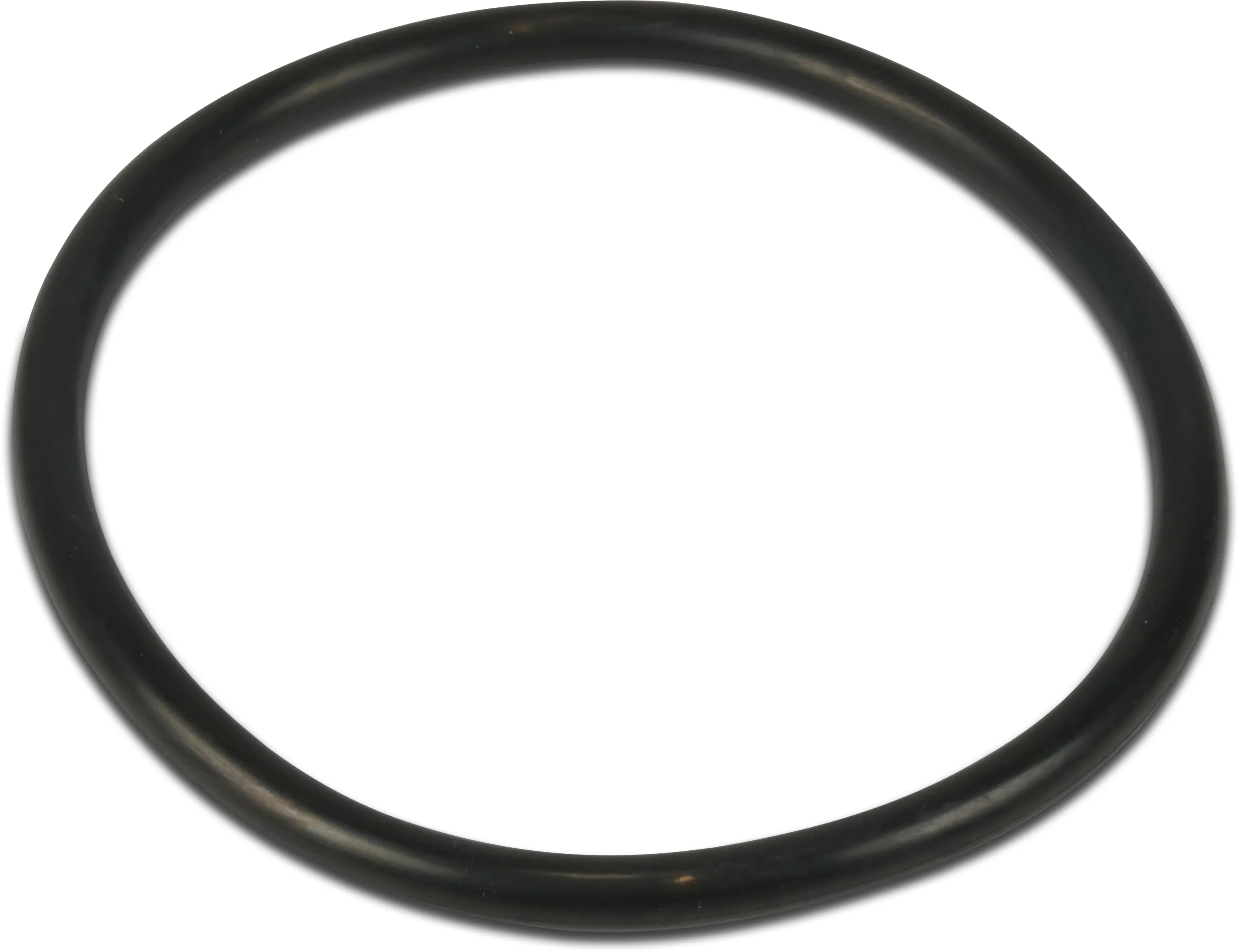 Foras Pump body O-R gasket 171,05x3,53mm NBR for MN32 160A,MN40 160B,MN40 160A,MN50 160A,MN50 160B