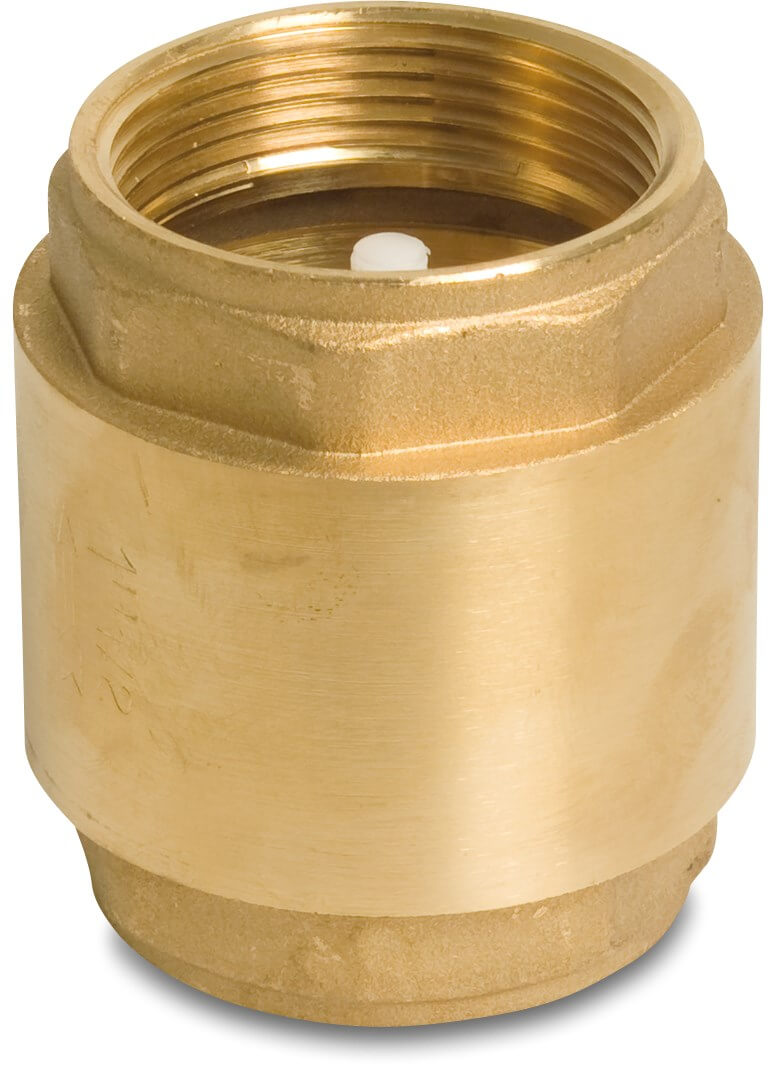 Profec Non return valve brass 1/4" female thread 16bar type 5