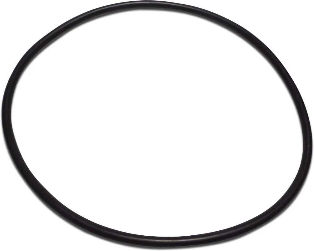 Pentair O-ring for Triton II/Triton closure dome R152501W