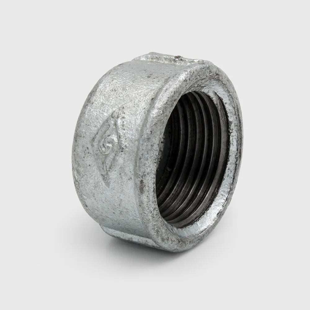 Profec Nr. 301 Round cap cast iron galvanised 2" female thread 25bar DVGW