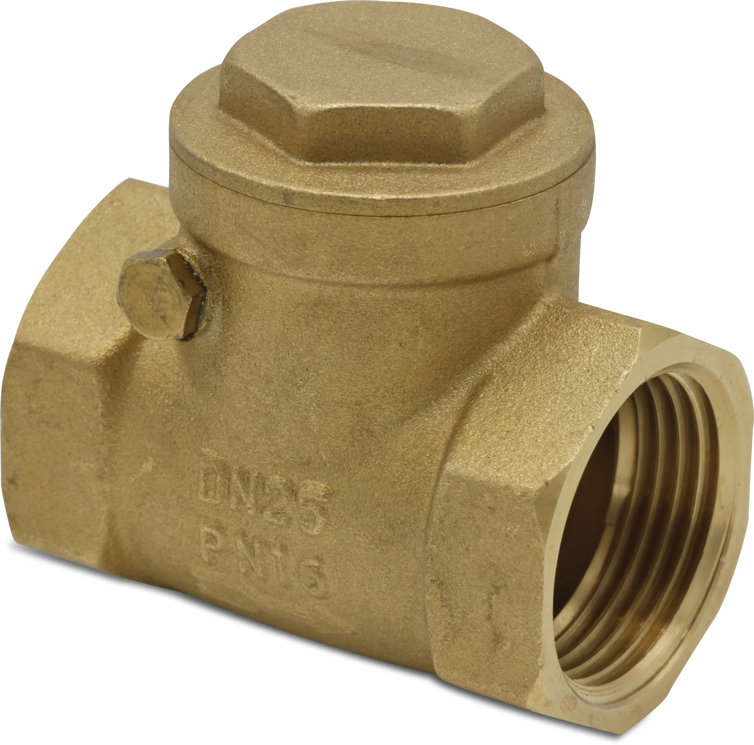 Profec Non return valve brass 1" female thread 16bar DN25 type 790