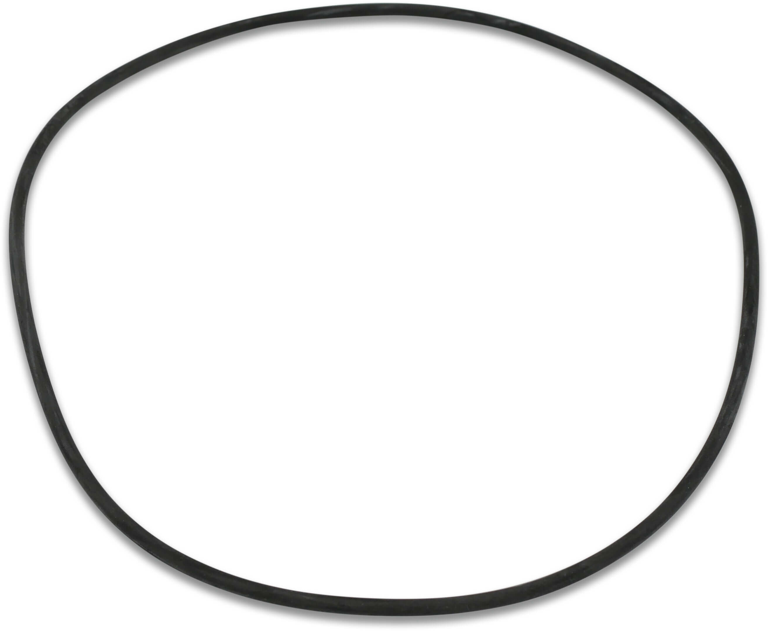 Foras Pump body gasket 133x2,62mm for type P3/5/7/9