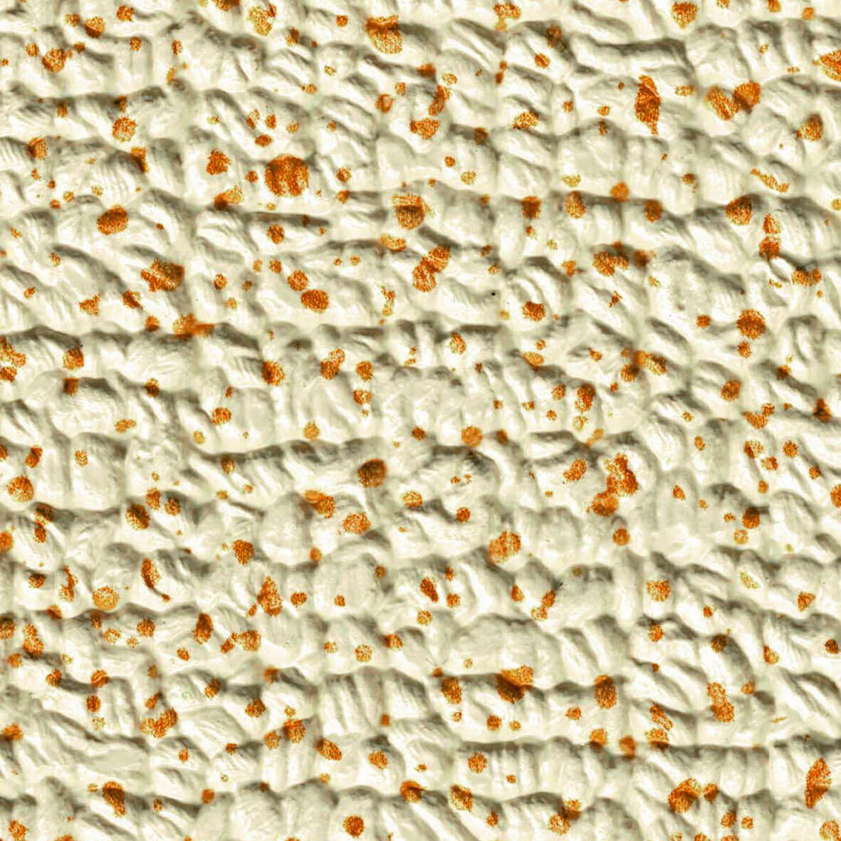 Elbe Exclusive Line Poolliner PVC 20m type Island Dreams Aruba 1.60m