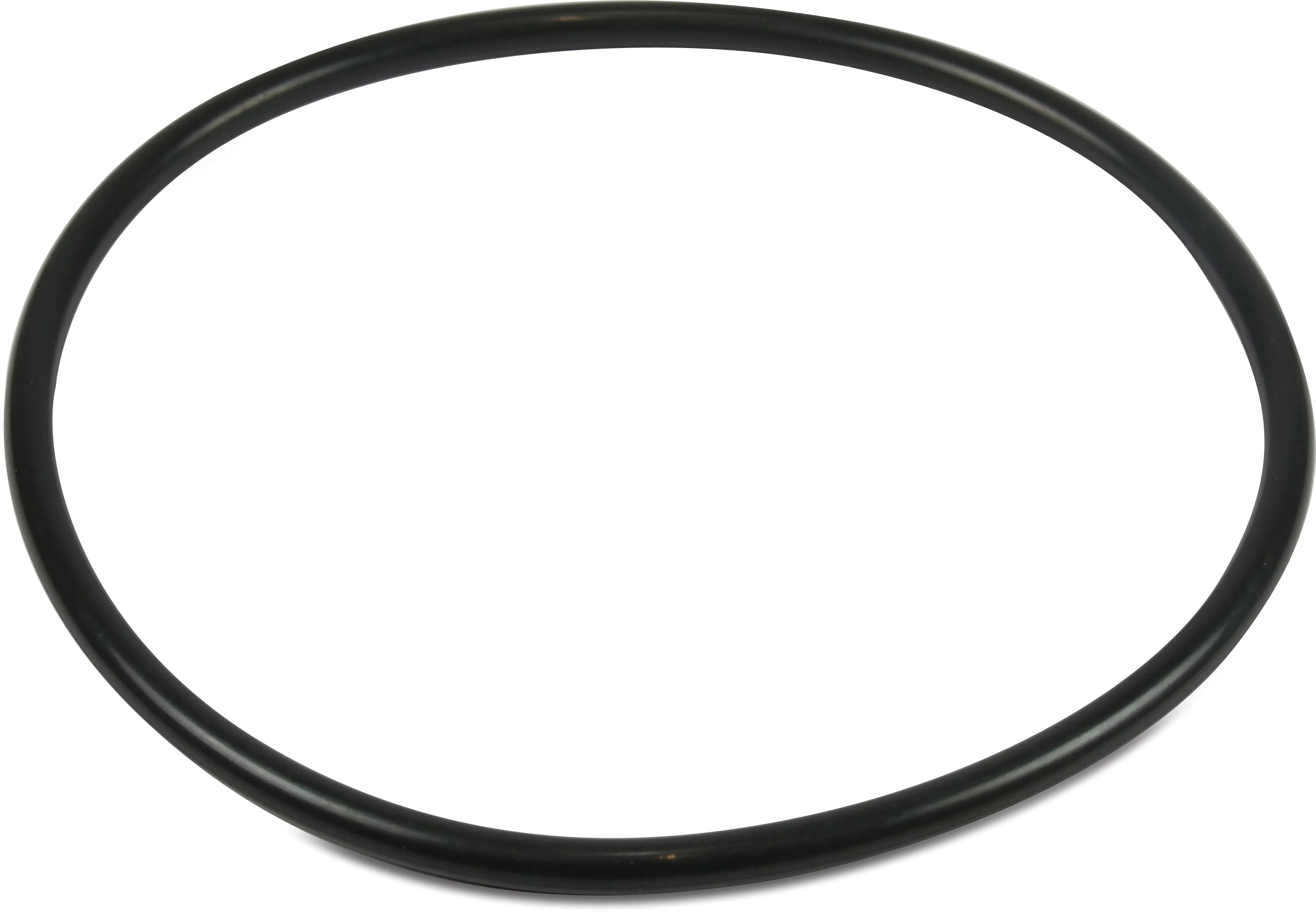Sta-Rite O-Ring für Deckel 5PXF/Intelliflo/SW5P6R-VSD R355051440