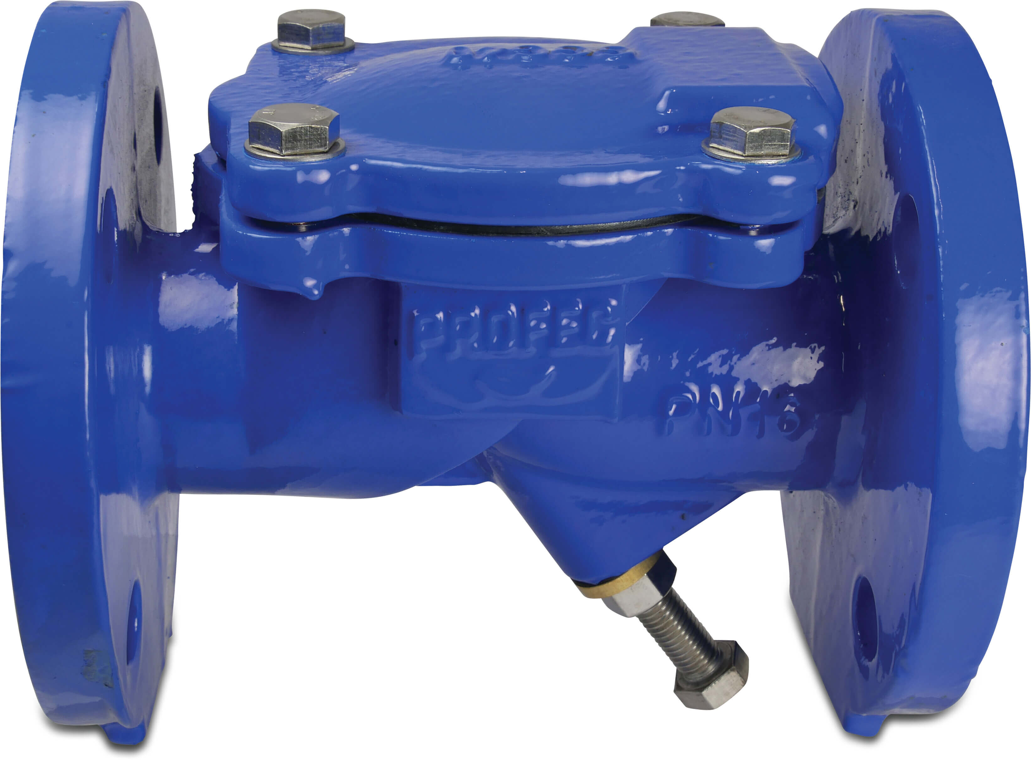 Profec Swing check valve with lifting device ductile iron (GGG40) epoxy coating DN50 DIN flange 16bar DN50 blue PN10/16