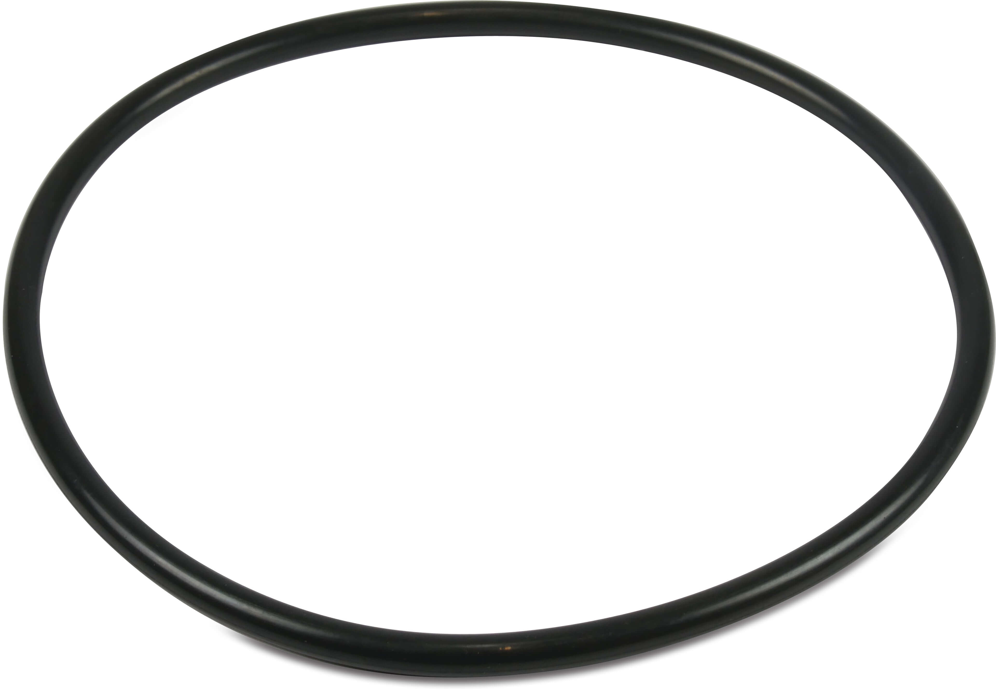 Sta-Rite O-ring for lid 5PXF/Intelliflo/SW5P6R-VSD R355051440