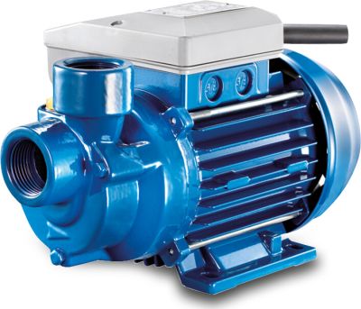 Foras Kreiselpumpe Gusseisen Innengewinde Blau
