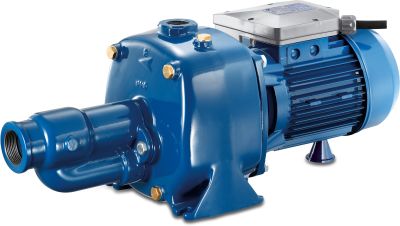 Foras Kreiselpumpe Gusseisen 8 bar Innengewinde Blau selbstansaugend