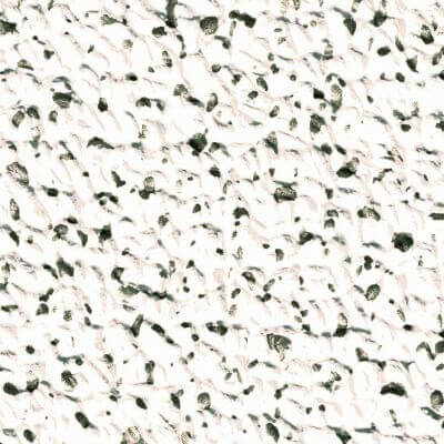Elbe Exclusive Line Schwimmbadfolie PVC Typ Island Dreams